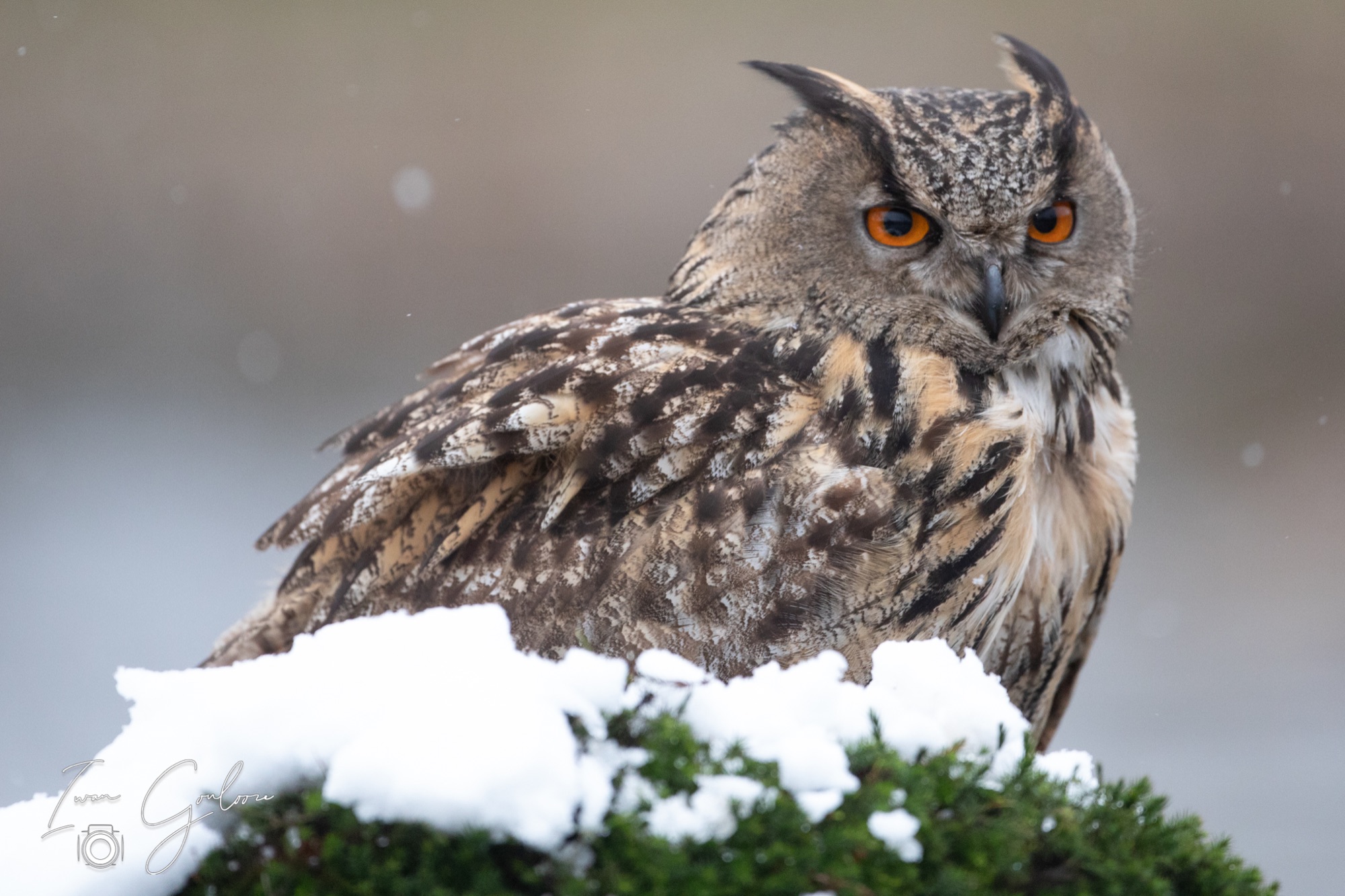 01 april 2022 124657  5D45758